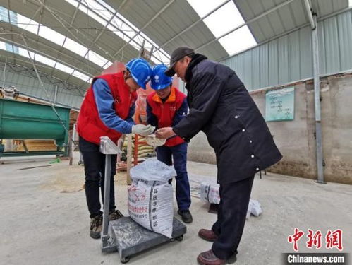 青海贵南 充足电力保障畜牧产业发展